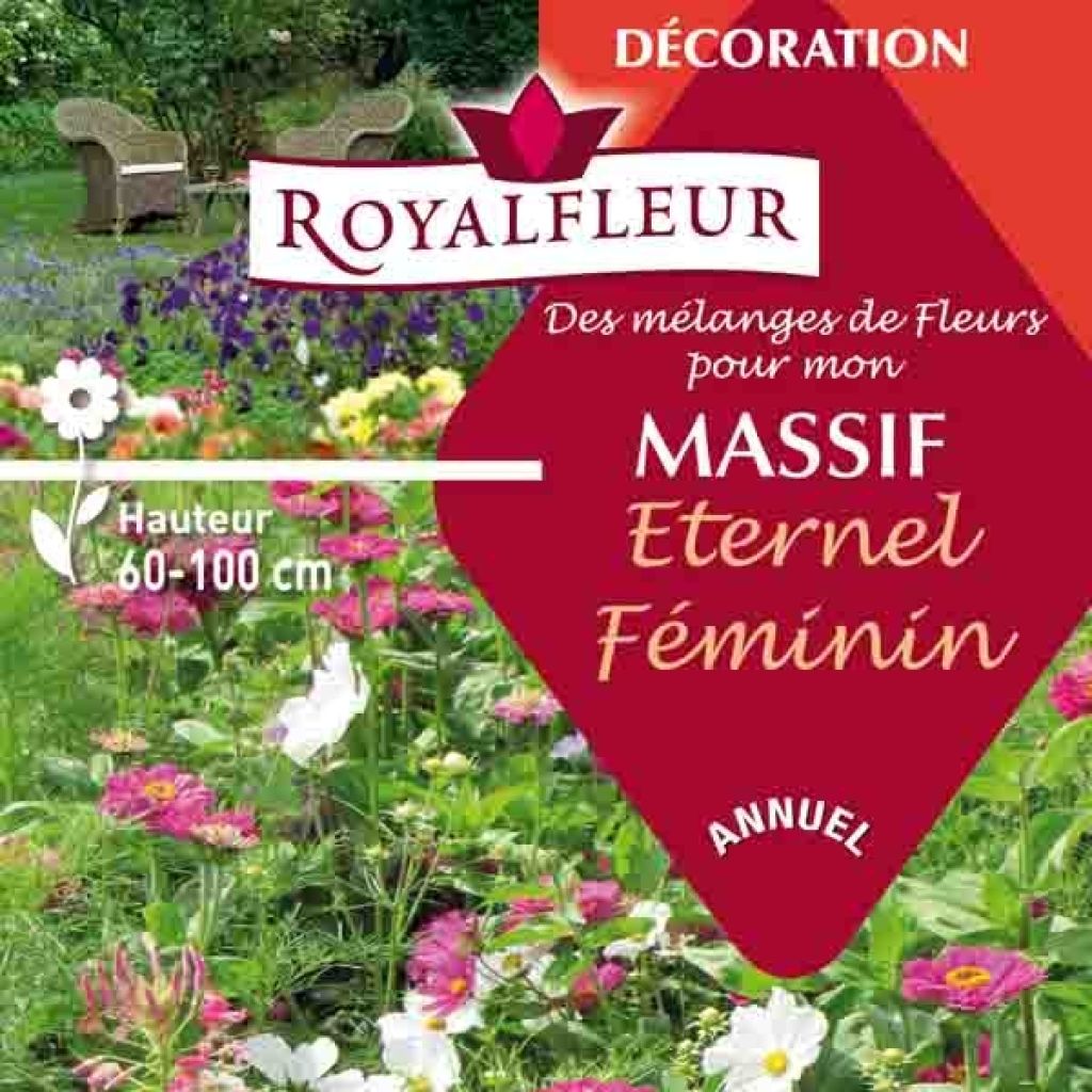 Mélange pour massif Eternel féminin - Boite 8 m2