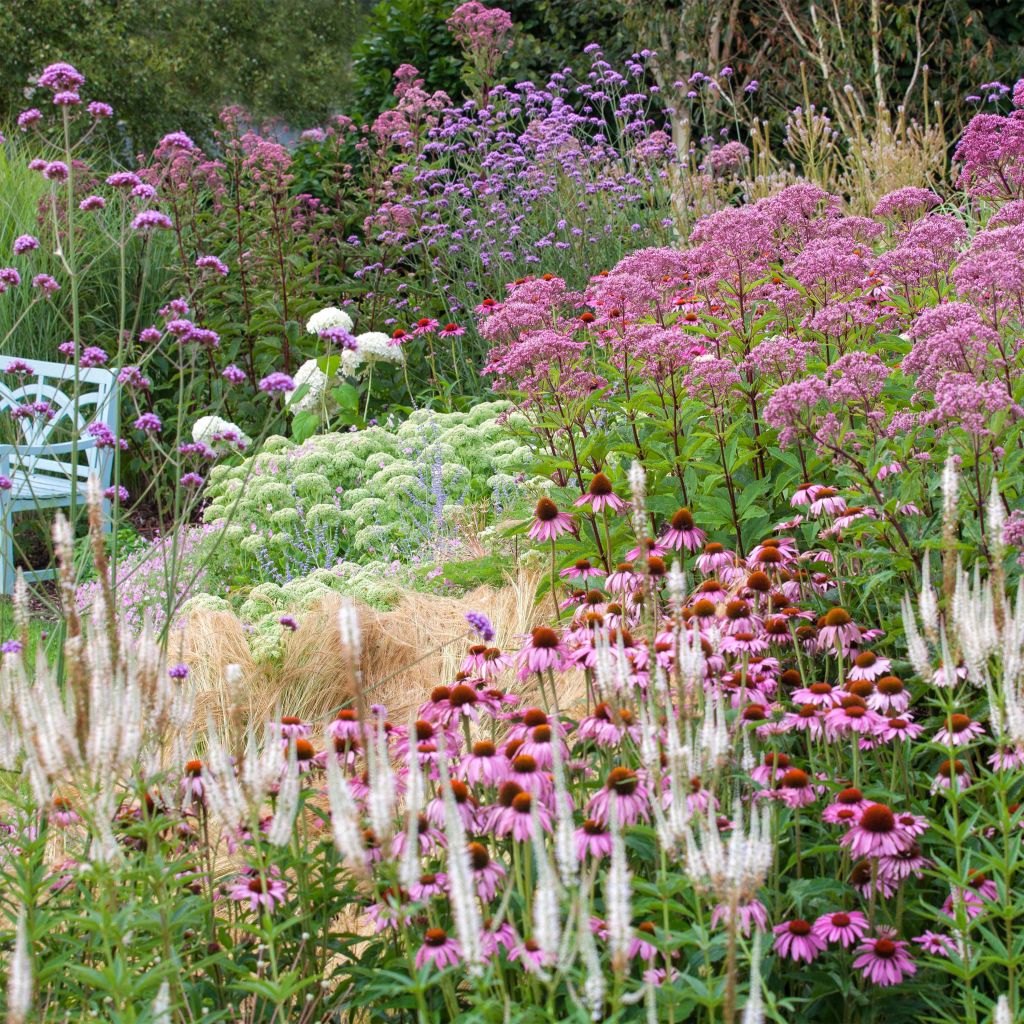 Naturalistic planting for 2m²