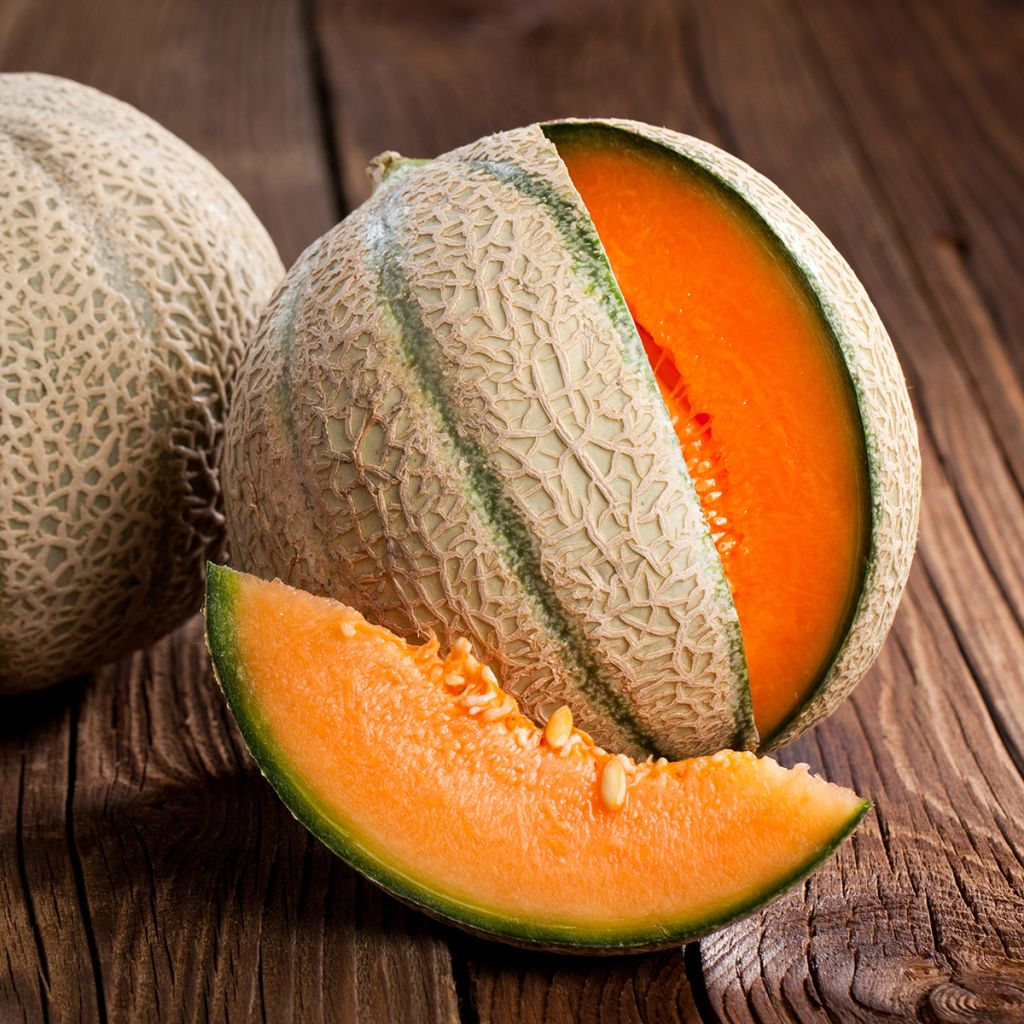 Cucumis melo