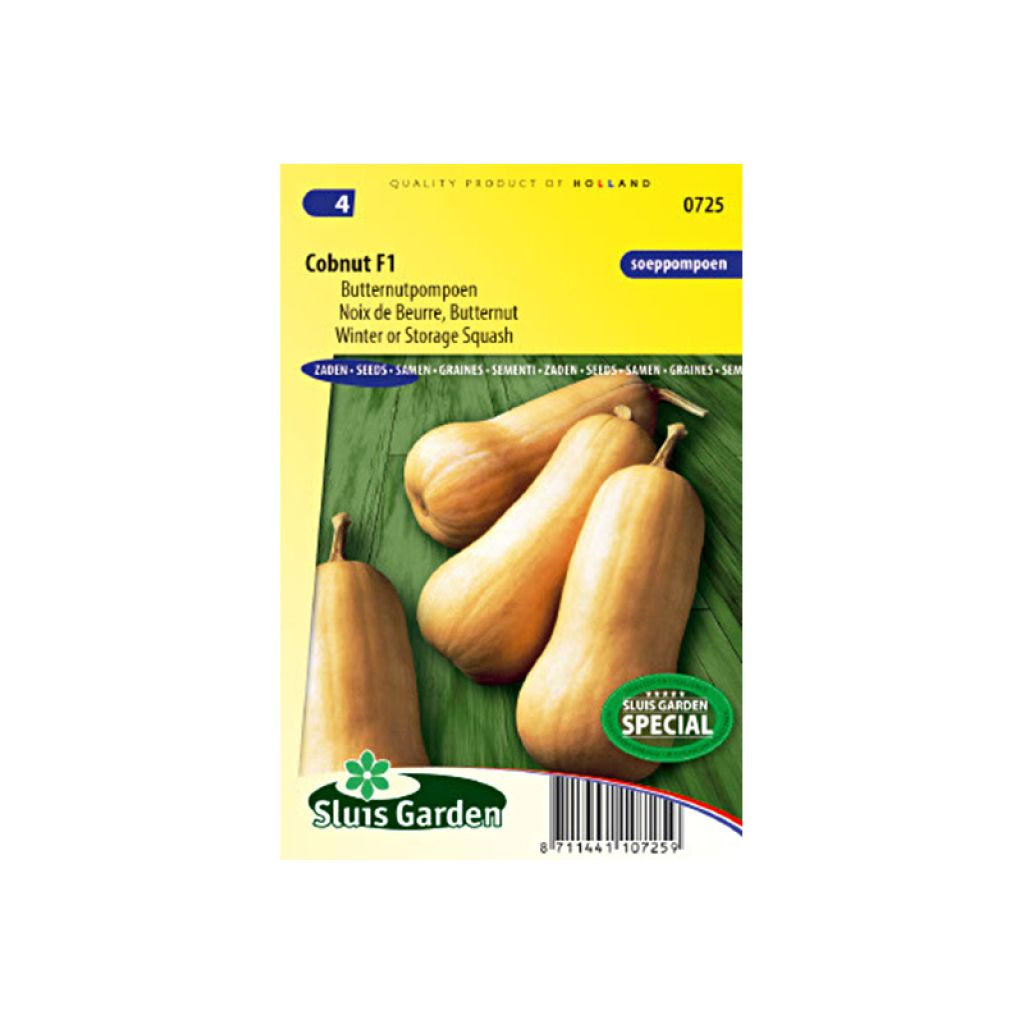 Squash Butternut Cobnut F1 - Cucurbita moschata
