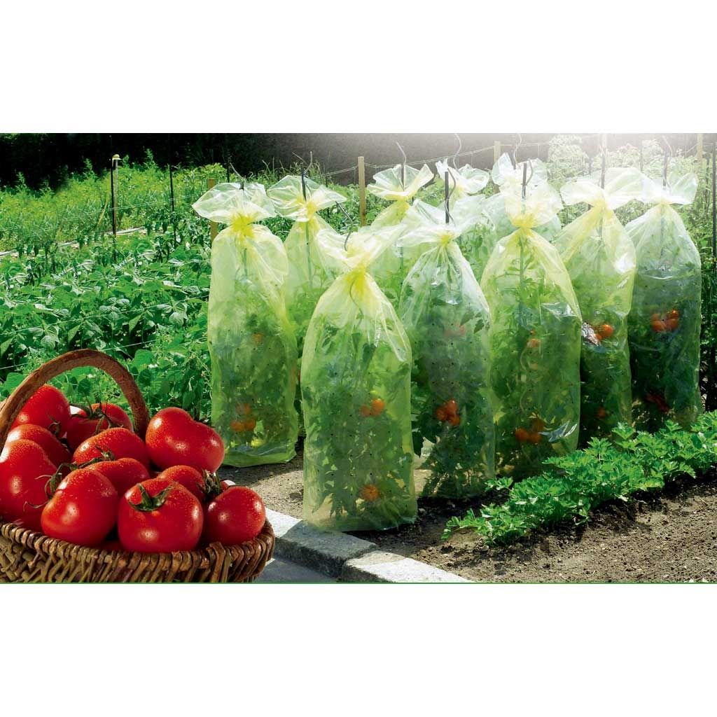 Tomatotube - 50-micron growth cover for tomatoes from Nortene