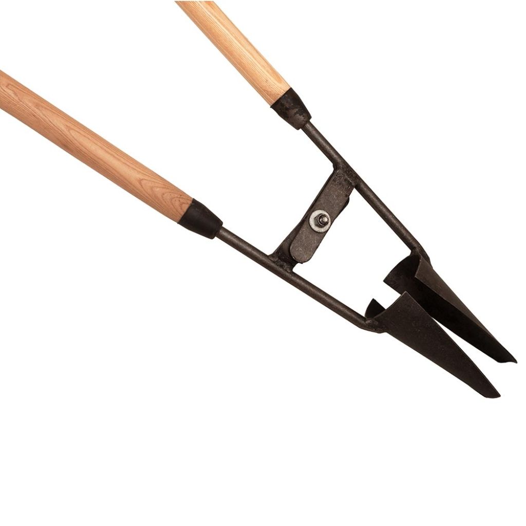 Traditional two-handled bulb planter by De Pypere