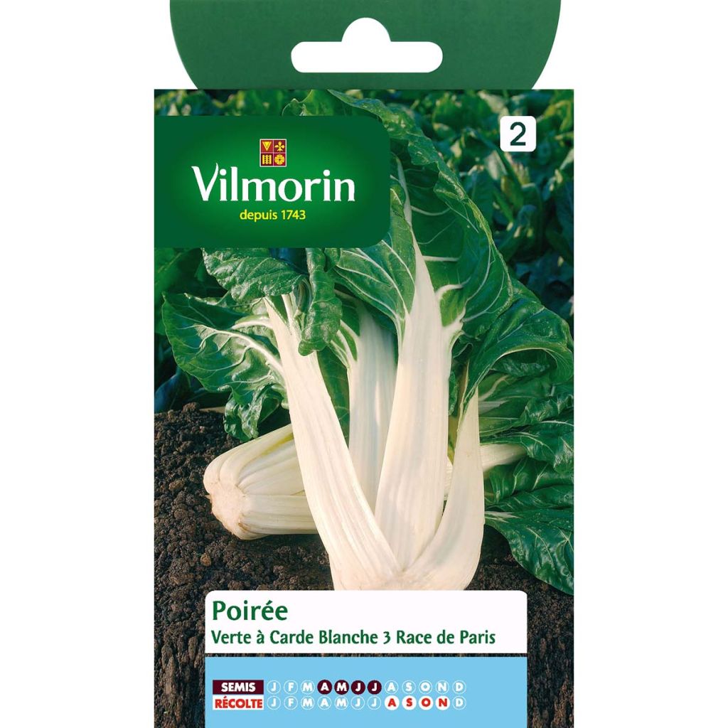 Swiss Chard Paris - Vilmorin Seeds