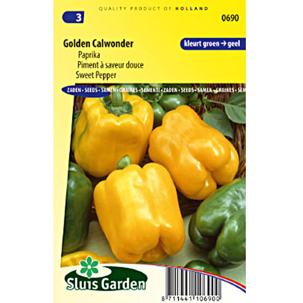 Poivron Golden Calwonder - Piment à saveur douce