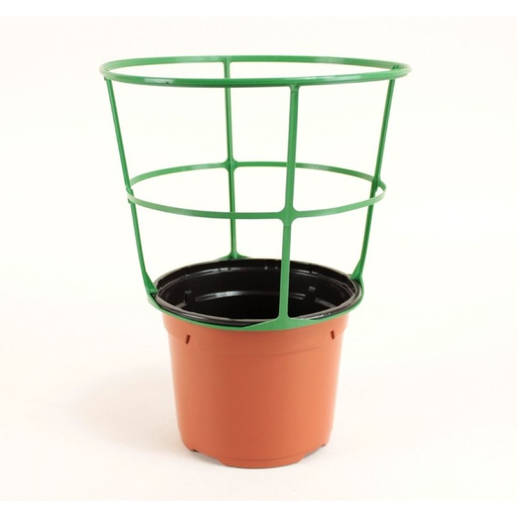 Pot rond terracotta  Ø12 cm avec tuteur Sopafix - vendu par 5