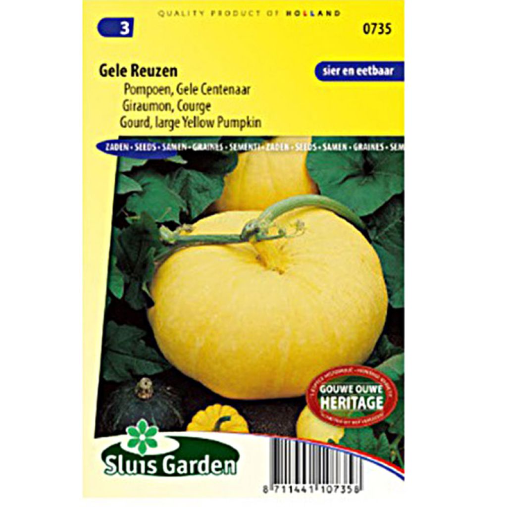 Potiron Giraumon Gele Reuzen - Cucurbita maxima