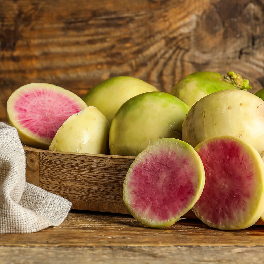 Radish Red Meat - Watermelon Radish