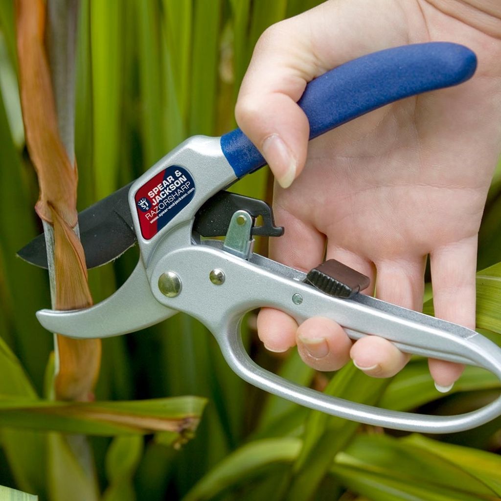 Spear & Jackson closed-handle ratchet anvil secateurs
