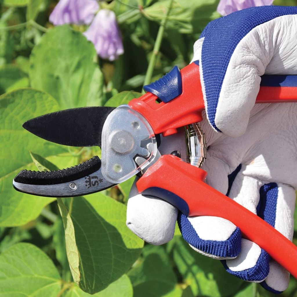 Spear & Jackson anvil geared secateurs