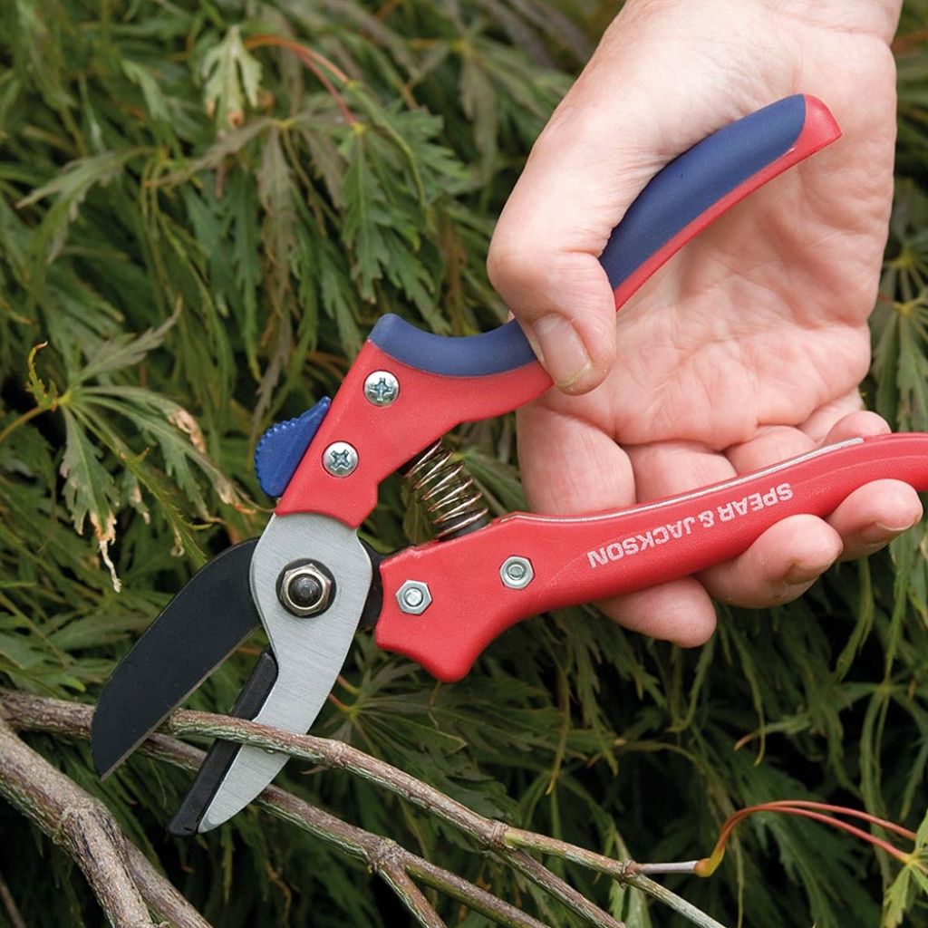 Ergonomic anvil secateurs by Spear & Jackson