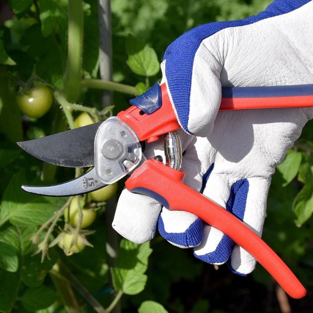 Spear & Jackson Gear Secateurs