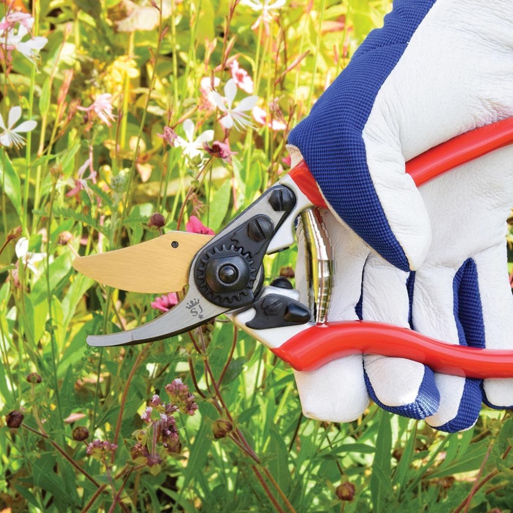 Spear and Jackson professional titanium-coated secateurs