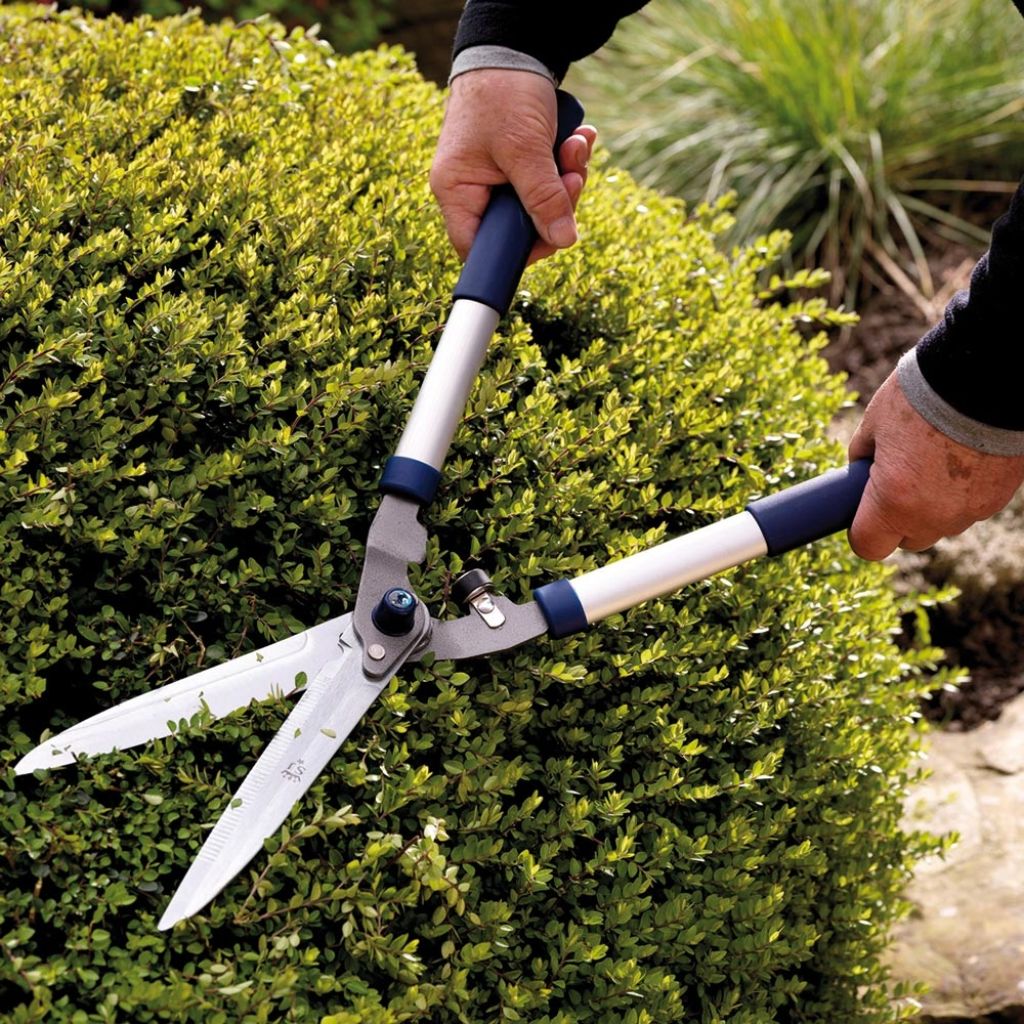 Straight-handled aluminium shears with 230mm blades by Spear & Jackson
