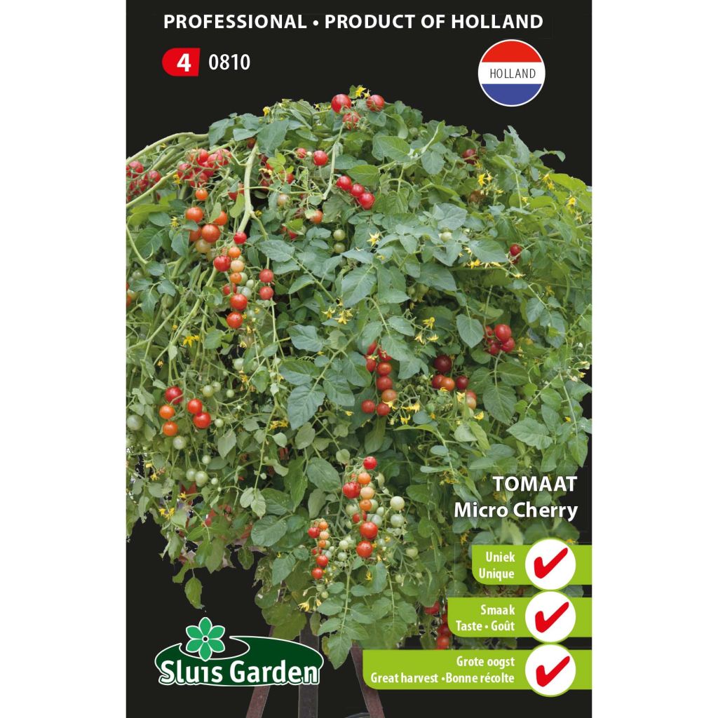 Micro Cherry Tomato