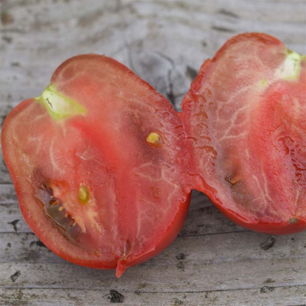 Tomate Purple Russian Bio - Ferme de Sainte Marthe