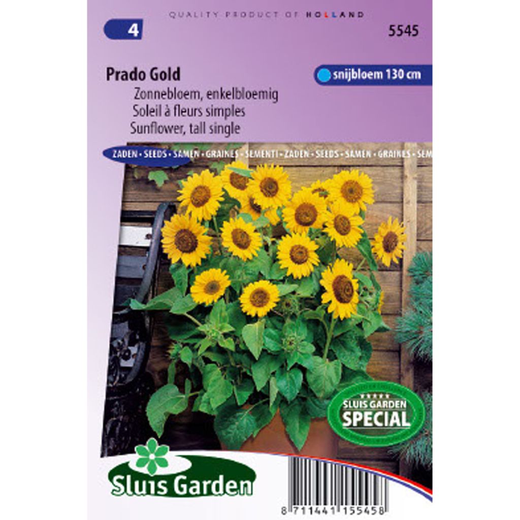 Semi-Dwarf Sunflower Prado Gold Seeds - Helianthus annuus