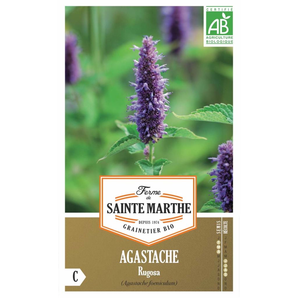 Agastache rugosa - Ferme de Ste Marthe