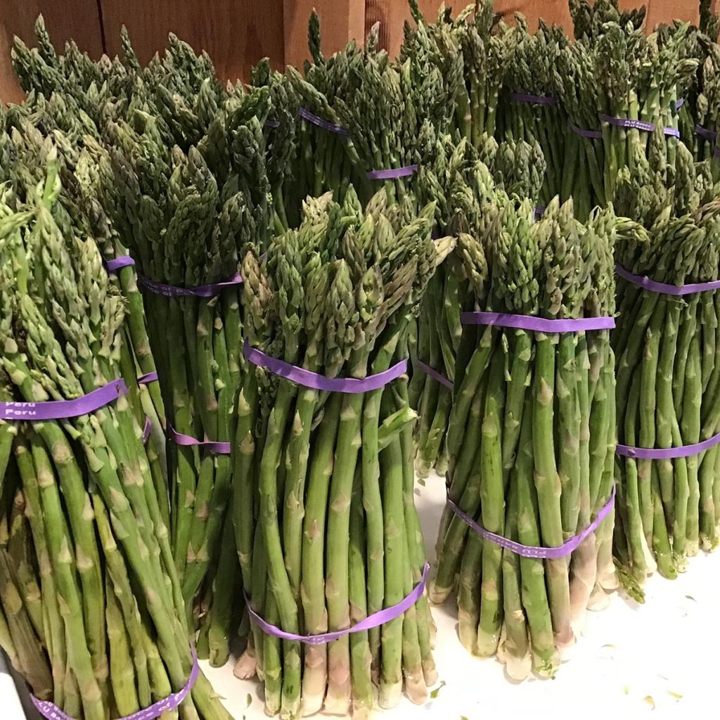 Rambo Green Asparagus - Asparagus officinalis