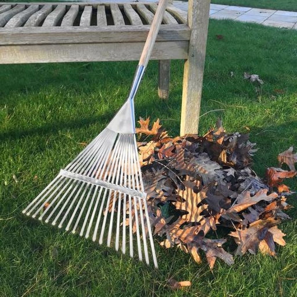 Burgon & Ball 20-tine Flat Lawn Wire Rake - RHS range