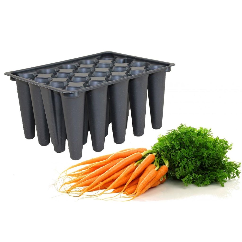 Tray of 20 carrot cells - sold in sets of 5