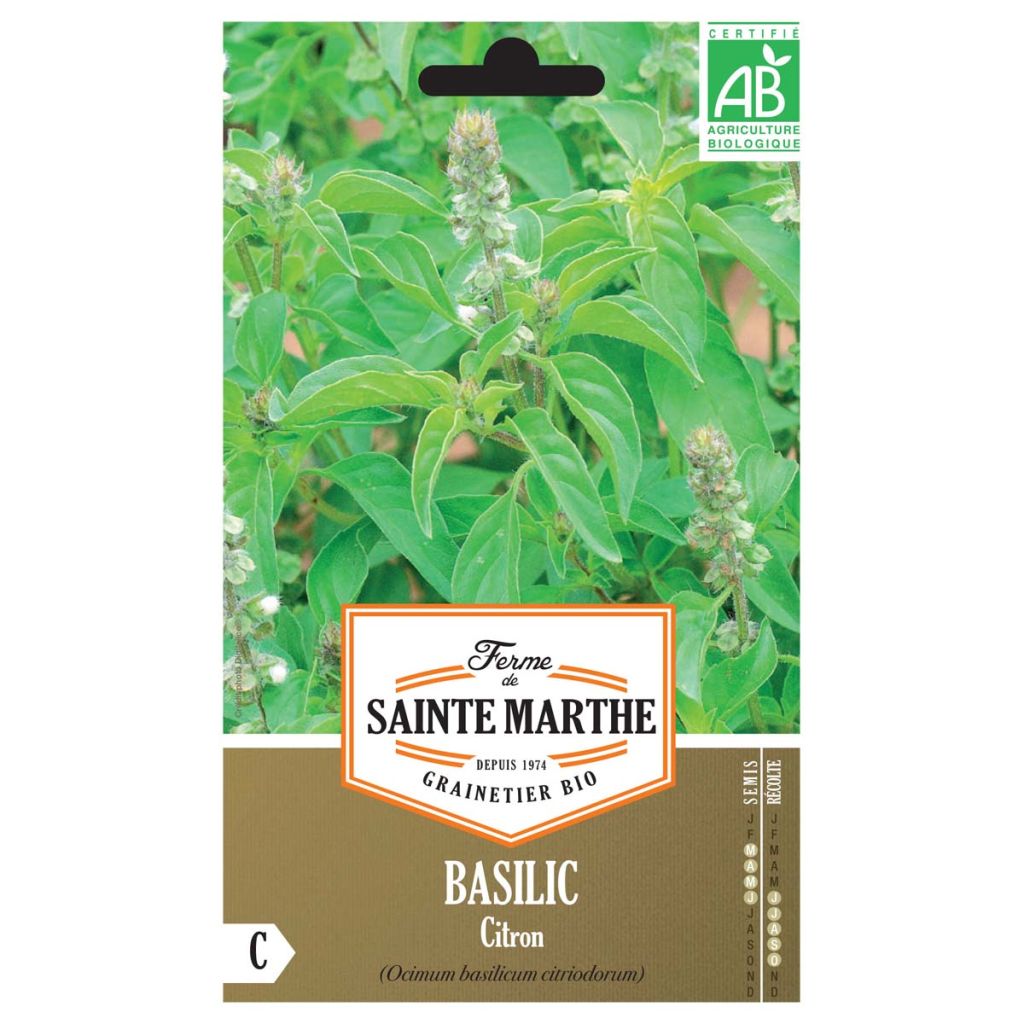 Basilic Citron  - Ferme de Ste Marthe