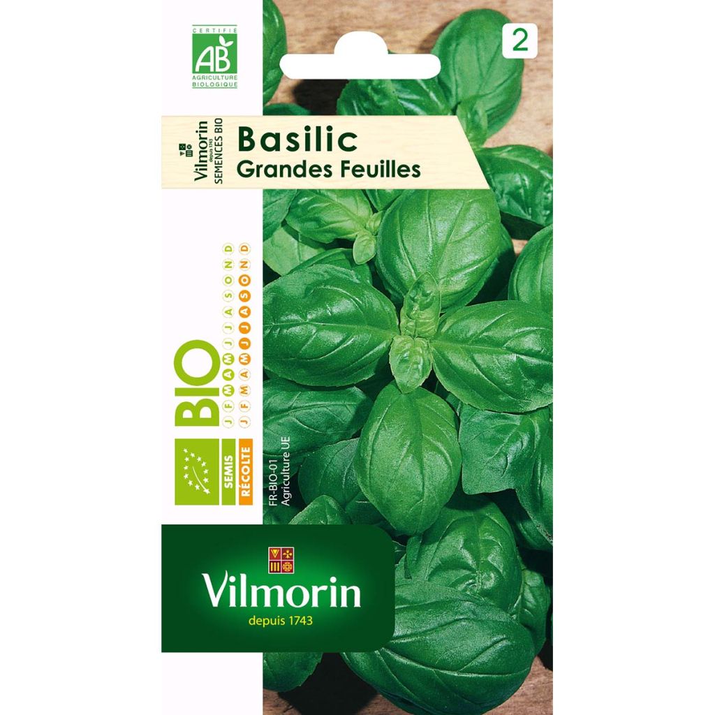 Organic Ocimum basilicum - Vilmorin Seeds