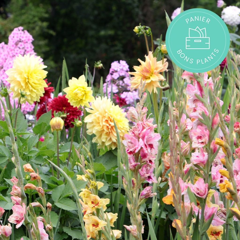 Promesse de Fleurs' anti-waste bulbs basket
