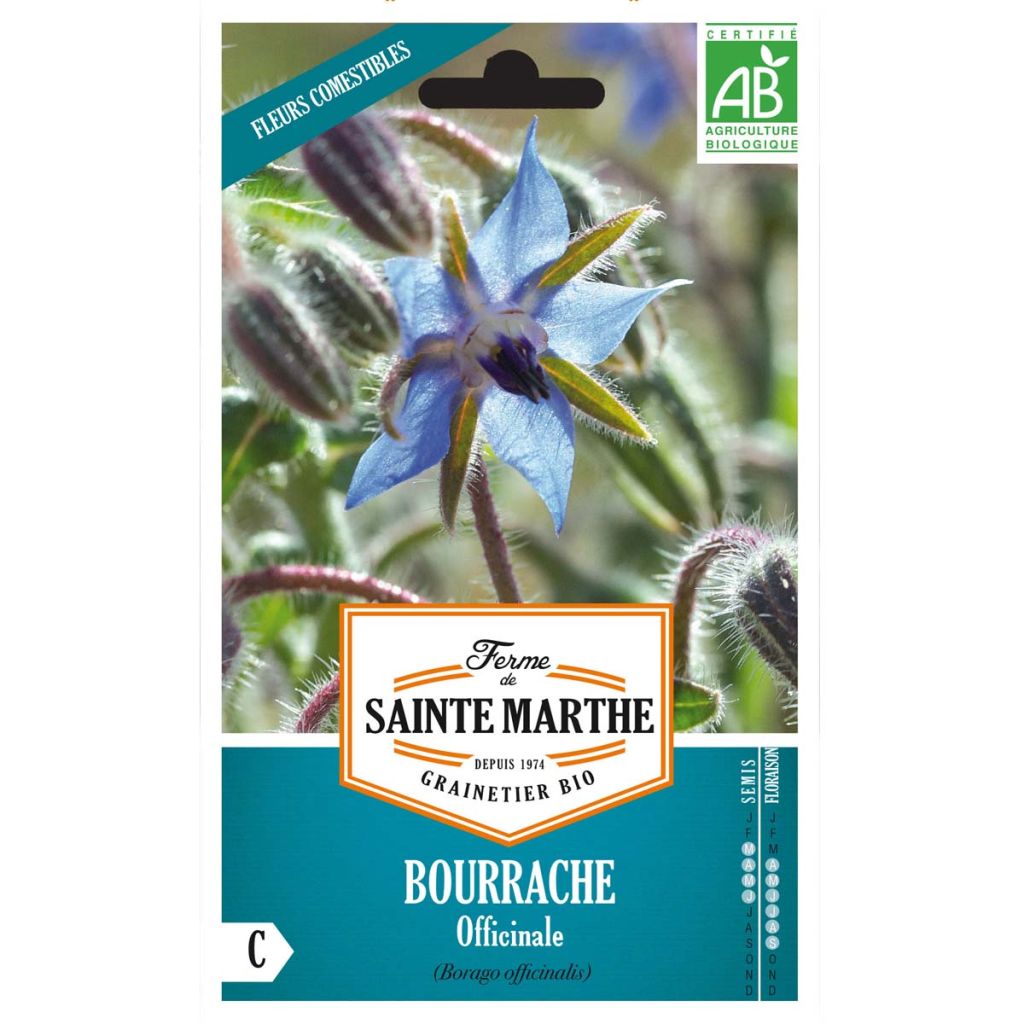 Bourrache officinale - Borago officinalis - Ferme de Ste Marthe