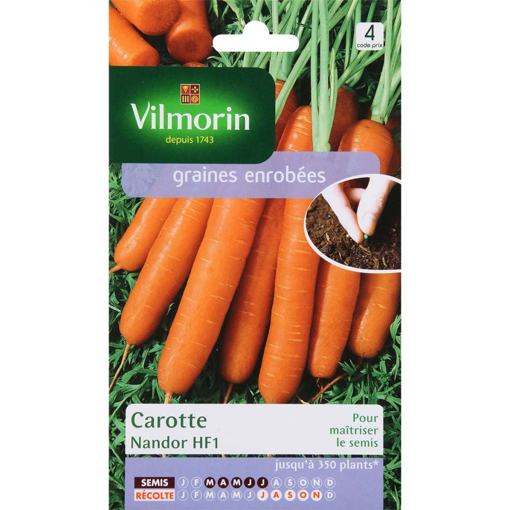 Carrot Nandor F1 coated Seeds - Vilmorin seeds - Daucus carota