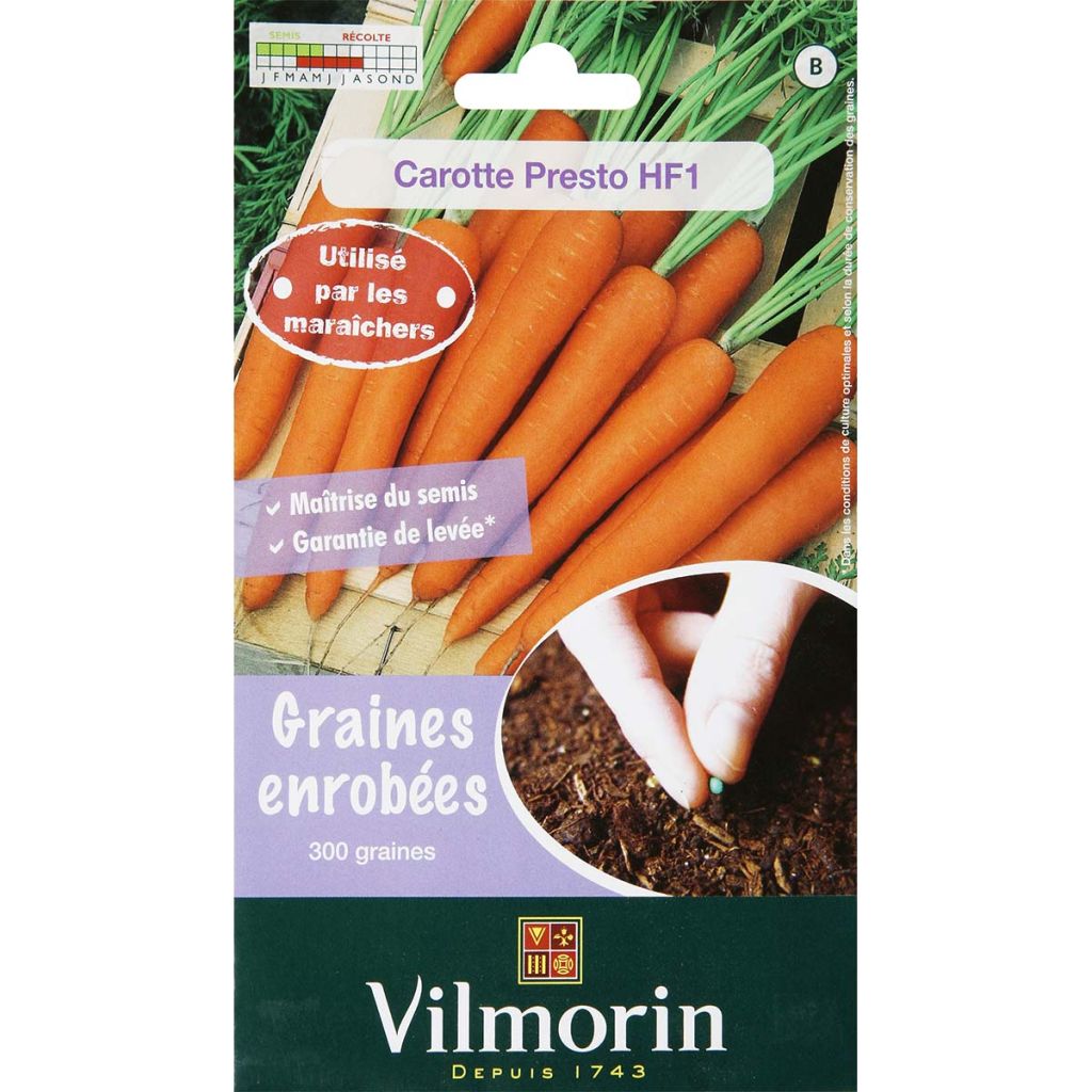 Carrot Presto F1 coated Seeds - Vilmorin seeds - Daucus carota