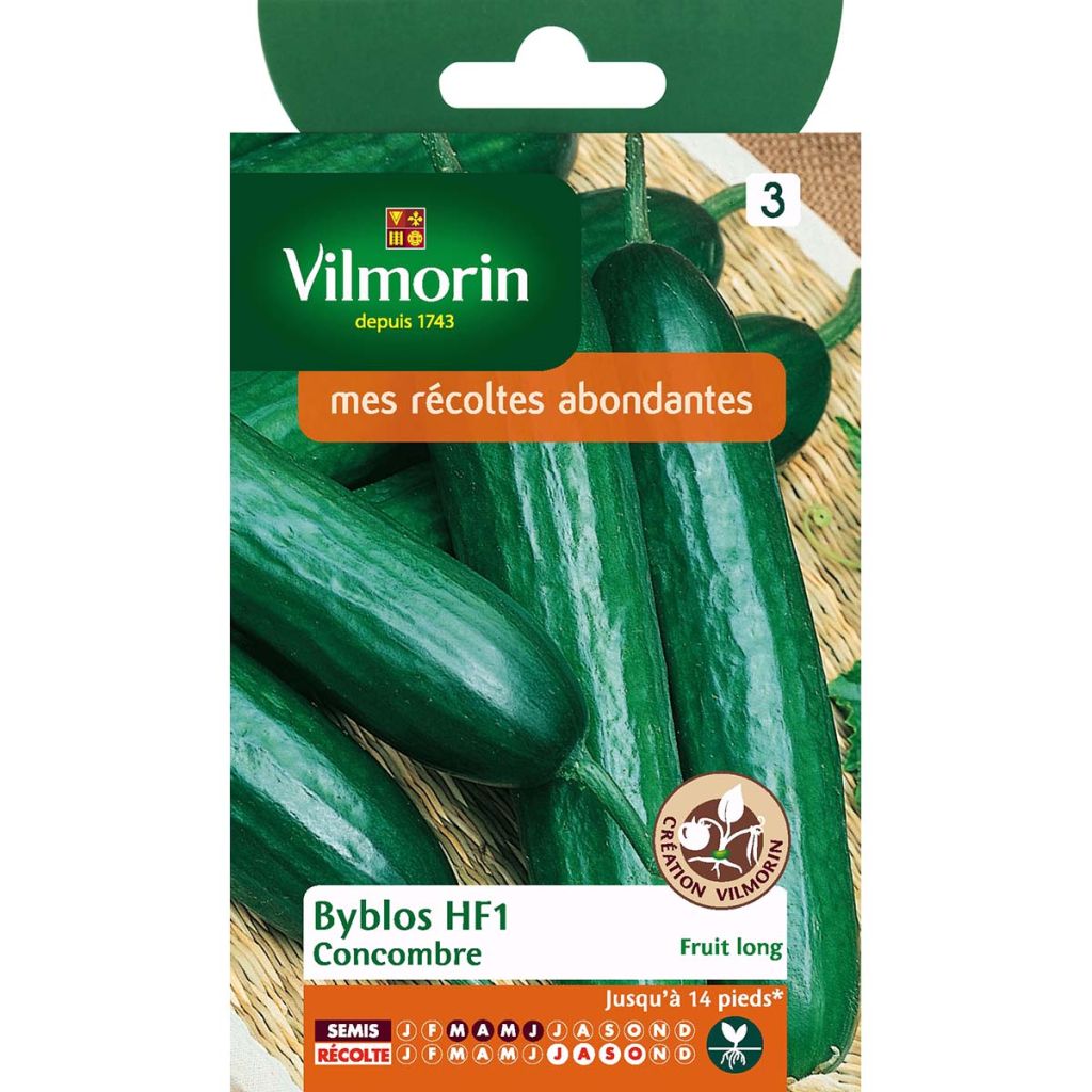 Concombre Byblos (Obtention Vilmorin) Vilmorin