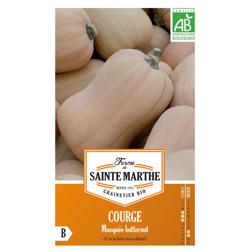 Cucurbita moschata Ferme de Sainte Marthe organic seeds - Butternut squash