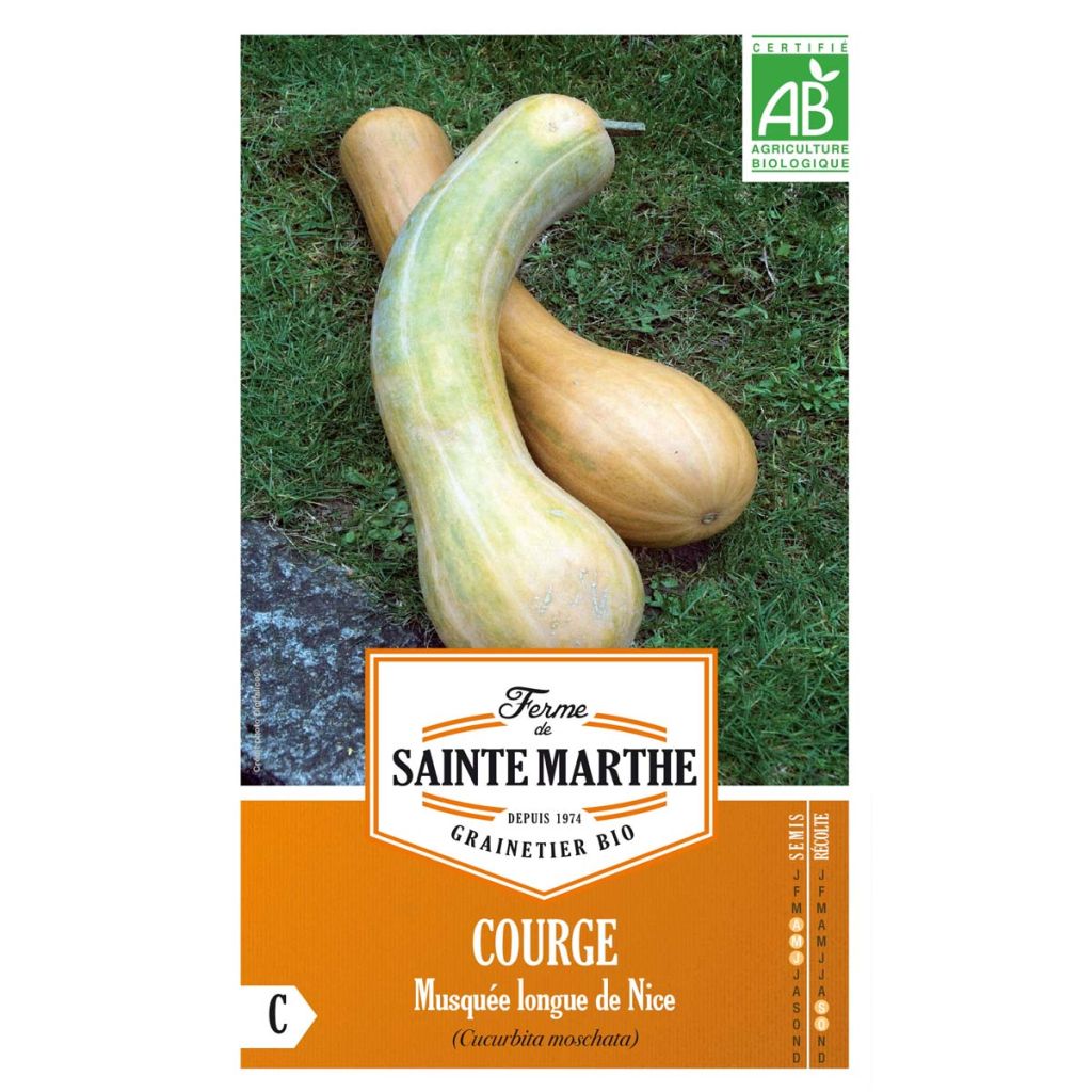 Courge Musquée Longue de Nice AB - Ferme de SAinte Marthe