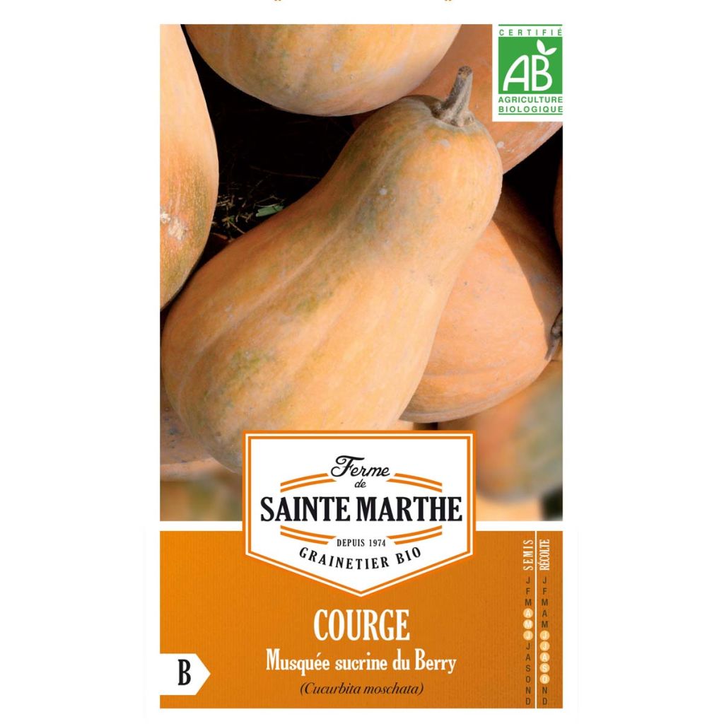 Butternut Squash Sucrine du Berry - Ferme de Sainte Marthe Seeds