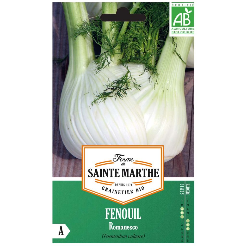 Fenouil Romanesco Bio - Ferme de Sainte Marthe 