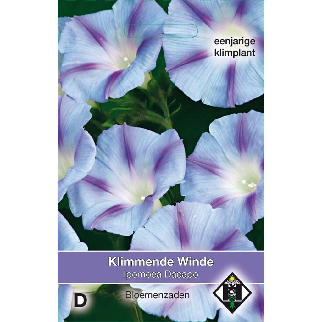 Ipomoea purpurea - Morning Glory Dacapo Light Blue Seeds