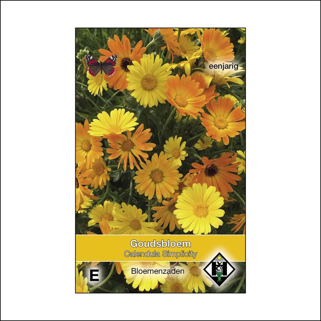 Calendula officinalis Simplicity Seeds - Pot Marigold