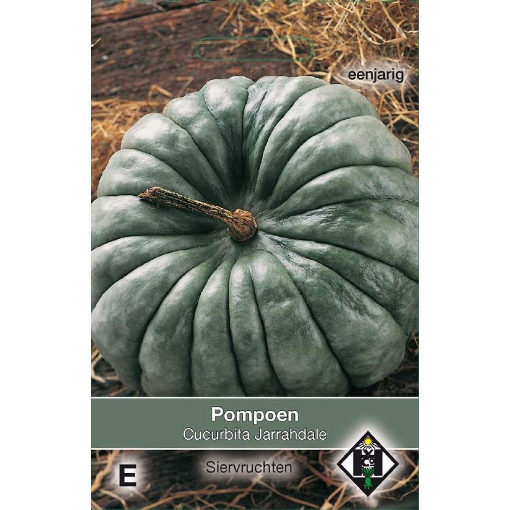 Blue Jarrahdale Pumpkin Seeds