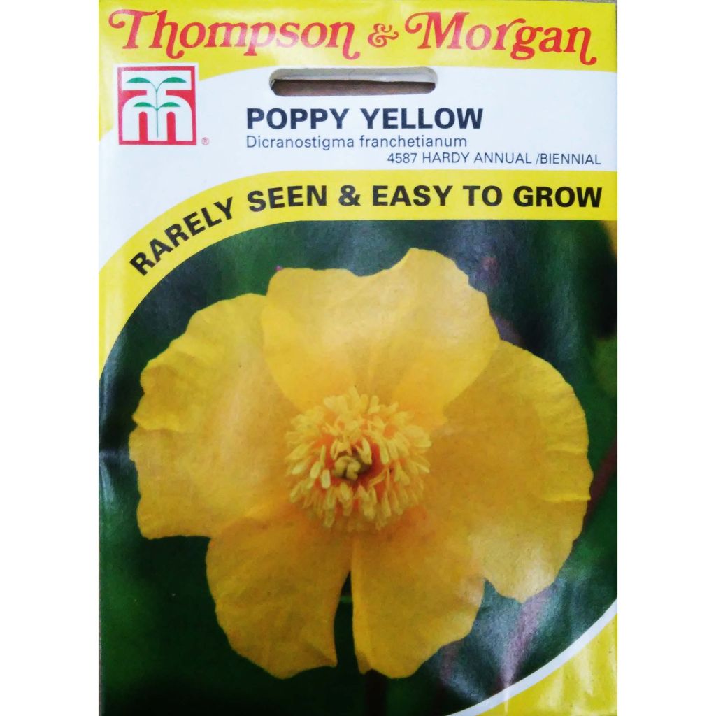 Dicranostigma franchetianum - Eastern Horned Poppy seeds