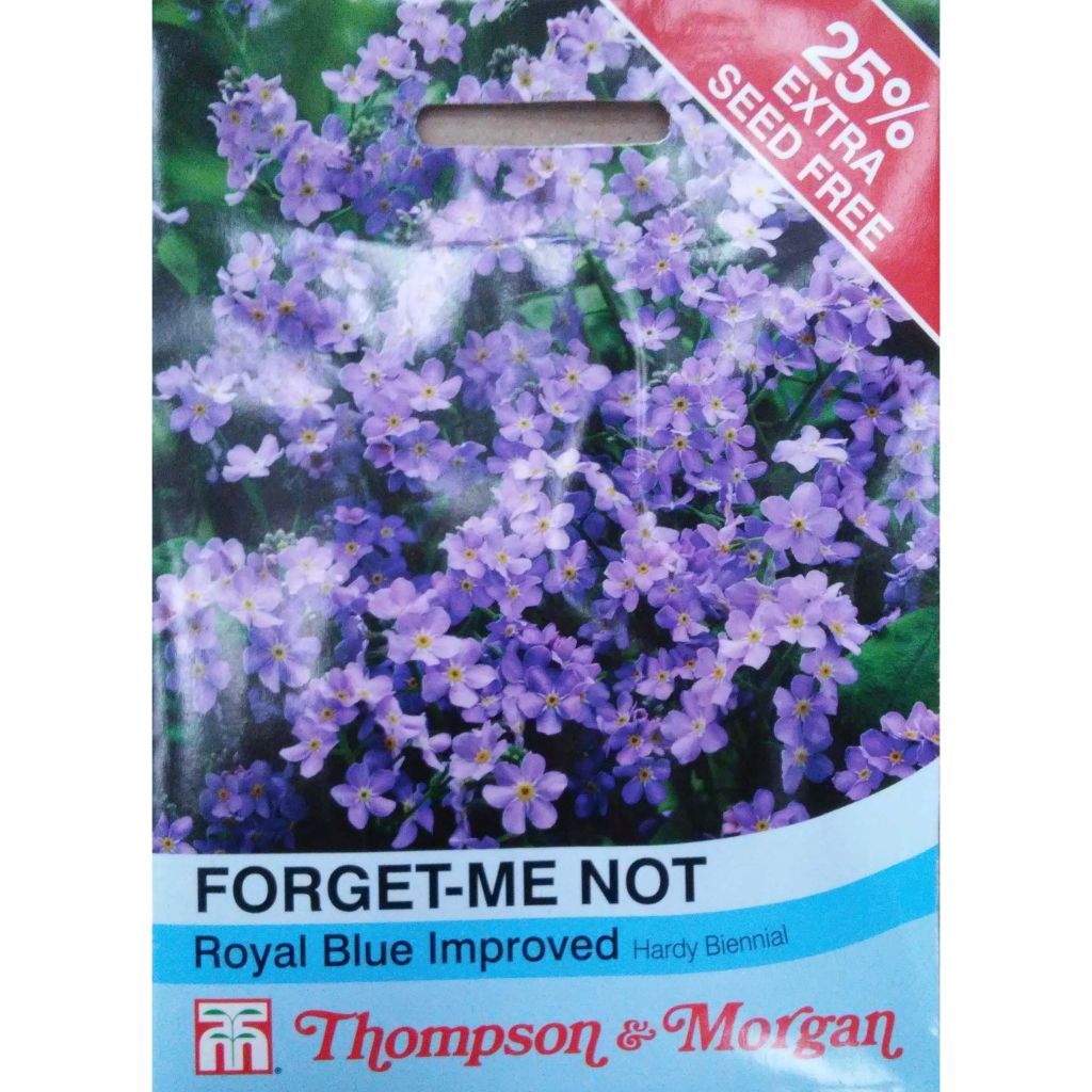 Forget-Me-Not Royal Blue Seeds - Myosotis sylvatica