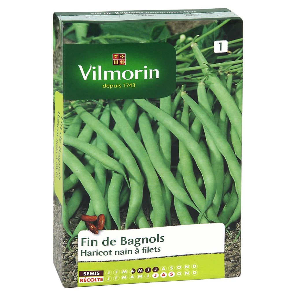 Haricot nain à filet Fin de Bagnols - Vilmorin