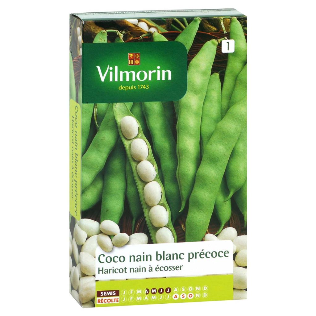 Haricot nain à écosser Coco nain Blanc précoce - Vilmorin