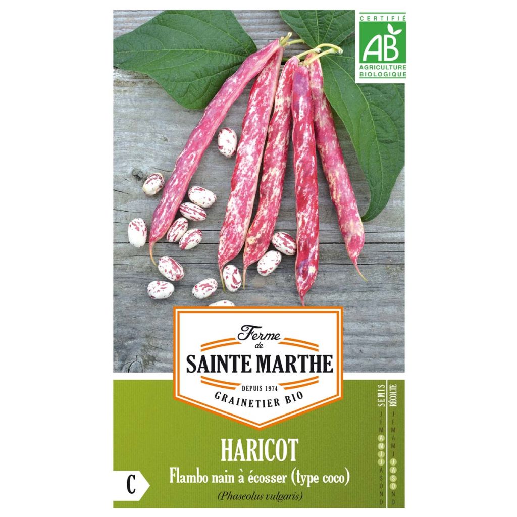 Haricot Flambo Bio - Ferme de Sainte Marthe 