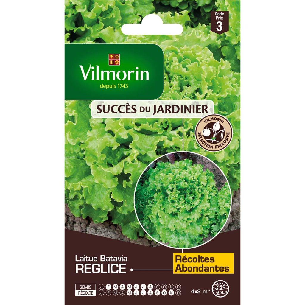 Batavian Lettuce Reglice F1 - Vilmorin creation seeds