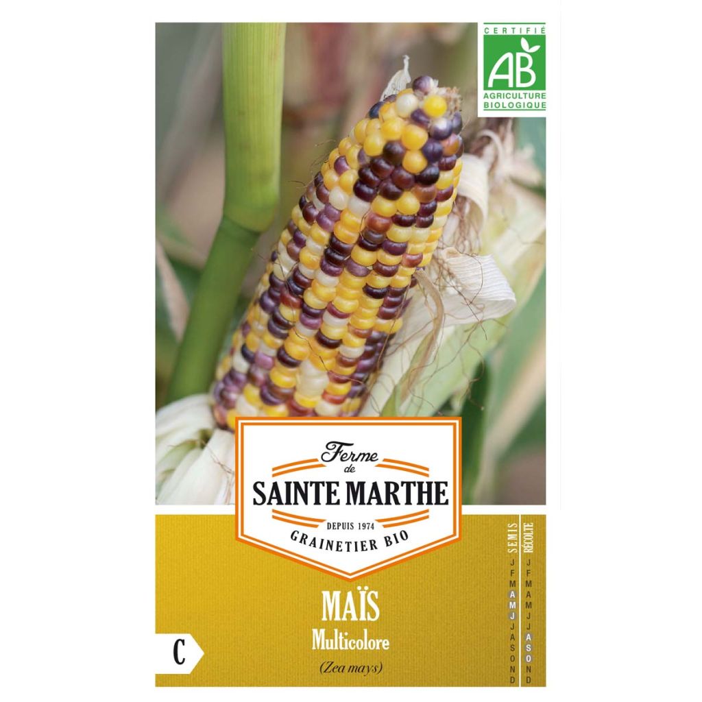 Organic Multicoloured Maize - Ferme de Sainte Marthe seeds seeds