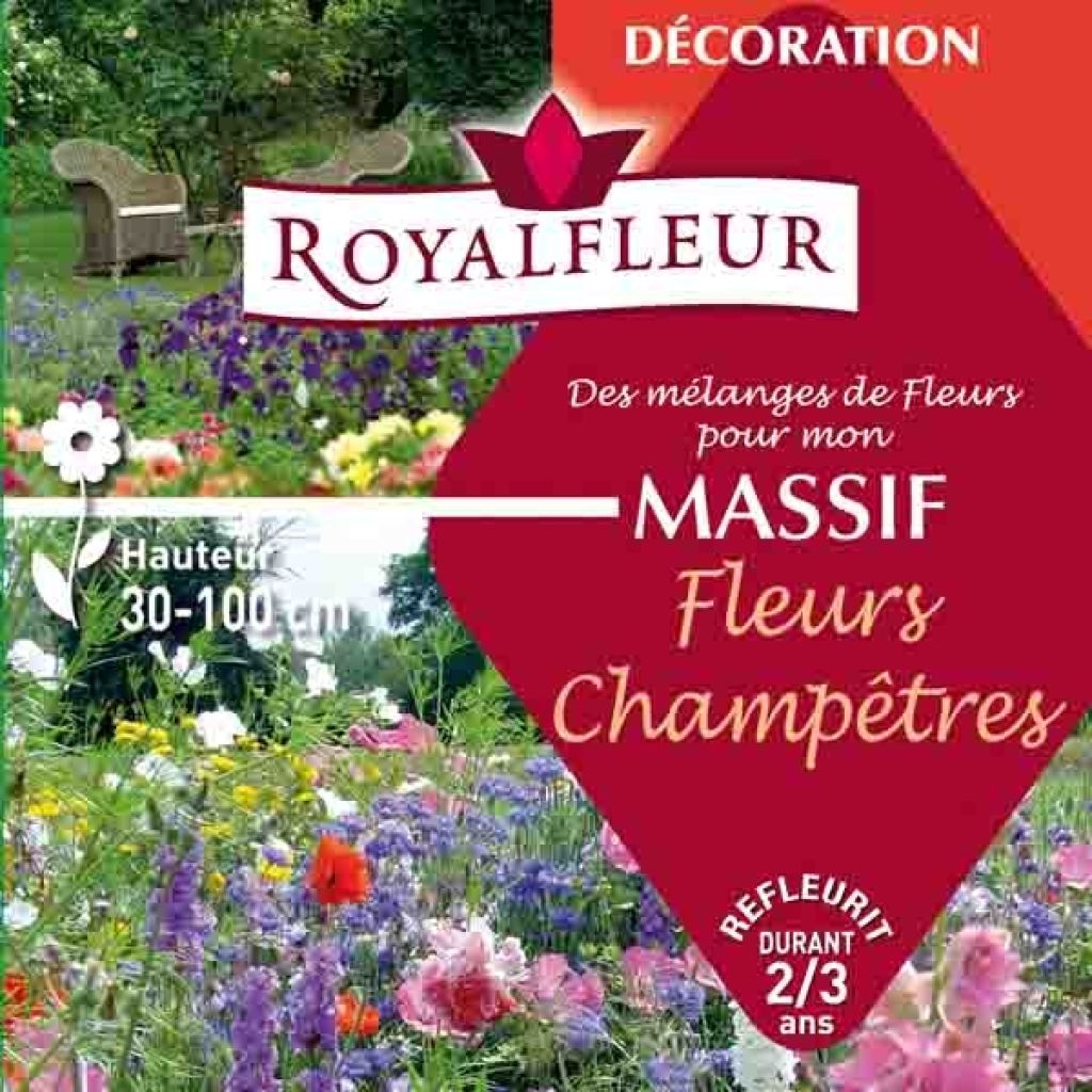 Mélange pour massif Fleurs Champêtres - Boite 25 m2