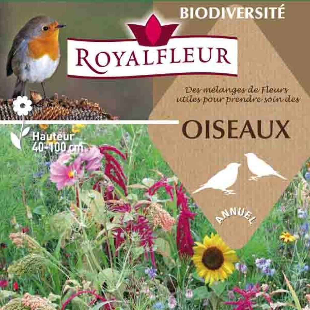 Mélange pour prendre soin des oiseaux - Boite 100 m2