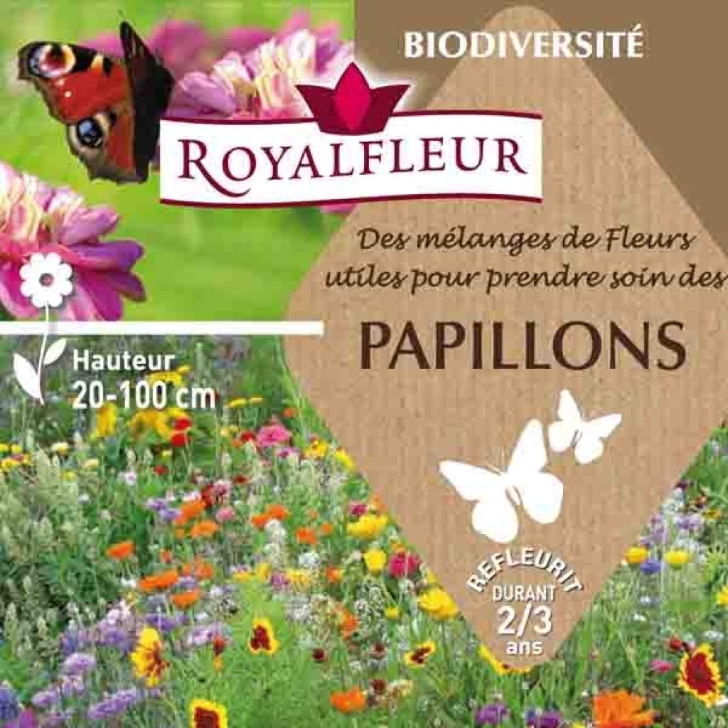 Mélange pour attirer les papillons - Boite 8 m2