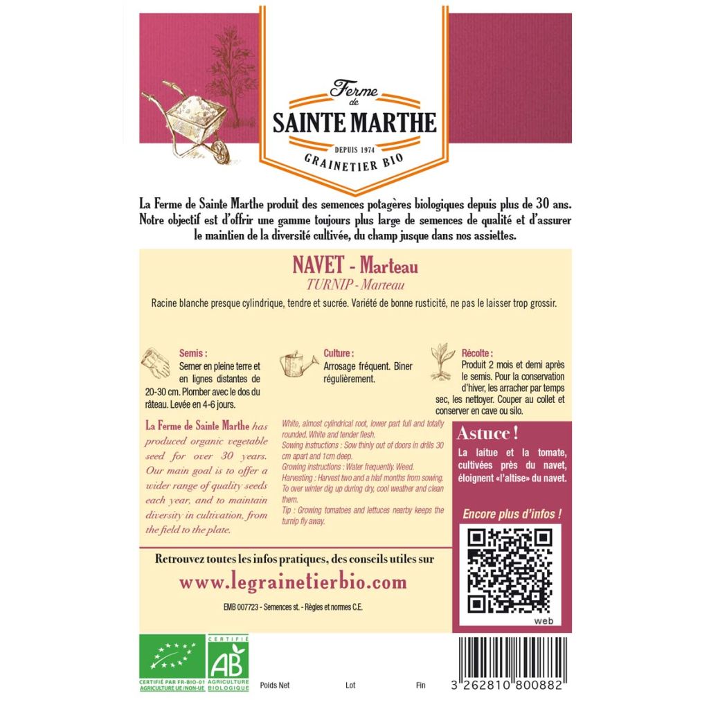 Organic Turnip Marteau - Ferme de Sainte Marthe seeds