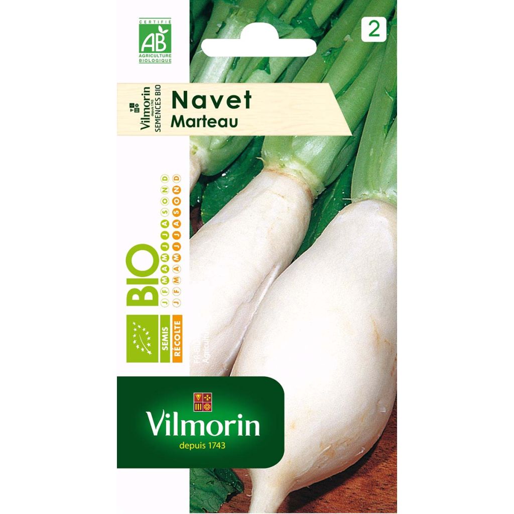 Organic Turnip - Vilmorin seeds - Brassica rapa